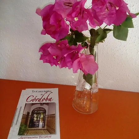 Turisticos Embrujo De Azahar Apartment Cordoba