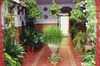 Turisticos Embrujo De Azahar Apartment *
